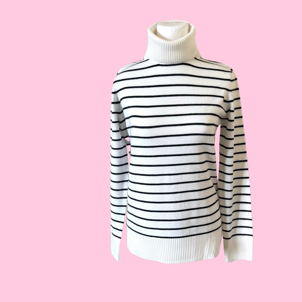 French Connection / Border Turtleneck Sweater